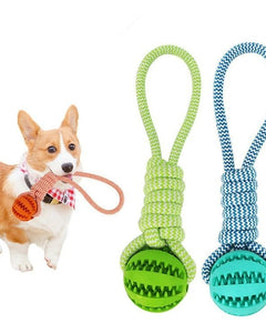 Rubber Ball Chew Toy with Cotton Rope