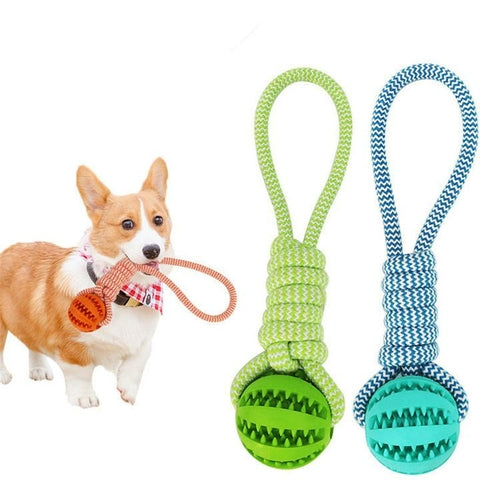Rubber Ball Chew Toy with Cotton Rope