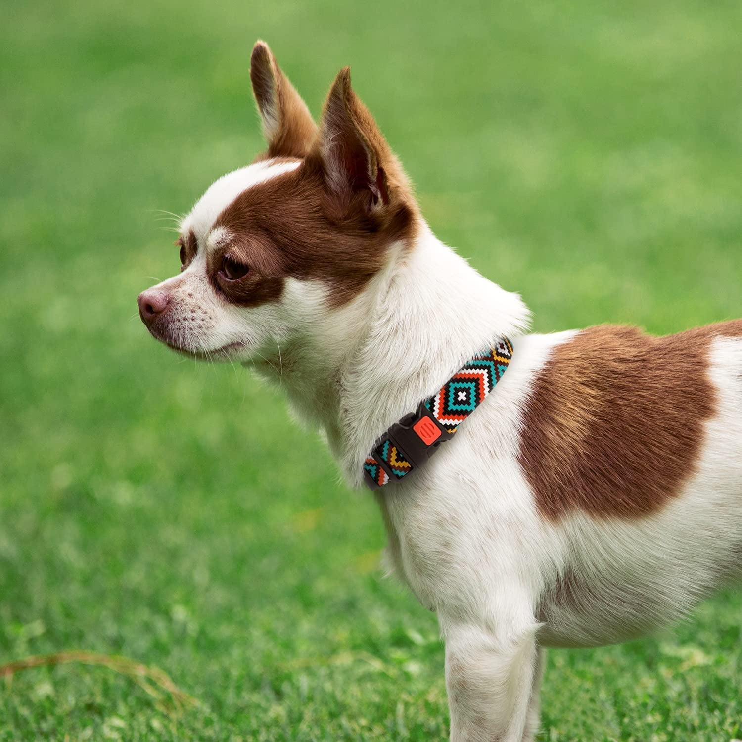 Nylon Dog Collar Aztec Geometric Pattern Ethnic Teal 10-13 Inch
