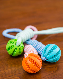 Rubber Ball Chew Toy with Cotton Rope