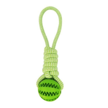 Rubber Ball Chew Toy with Cotton Rope